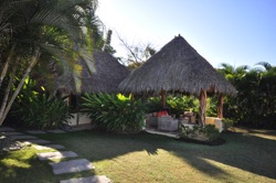 palm thatch roofs palm thatch roofs
